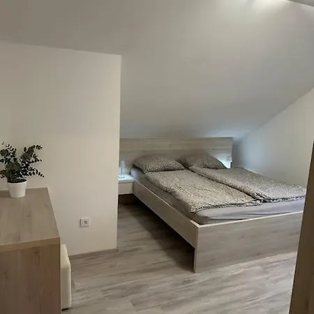 Prostorno In Prijetno Stanovanje Apartment *